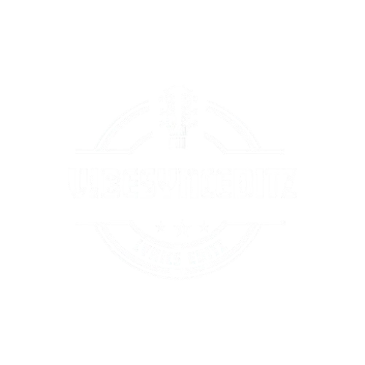 VIbesynceditz